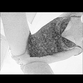 Elmas - Braives - Liège | Stripteaseuse